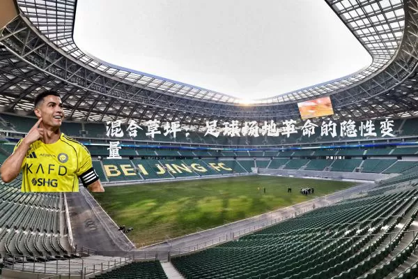 混合草坪:足球场地革命的隐性变量